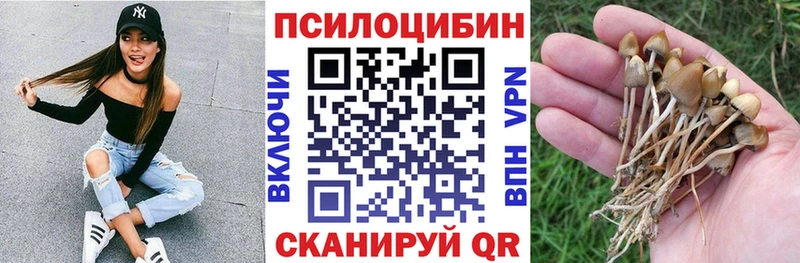 MEGA tor  Высоковск  Галлюциногенные грибы GOLDEN TEACHER  купить наркотик 